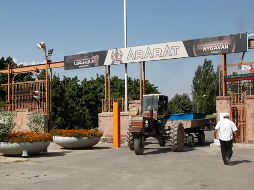 Ереванский коньячный завод открыл сезон закупа винограда Фото: ЕКЗ