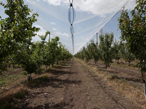  Լուսանկարը՝ ՀՀ գյուղատնտեսության նախարարության մամուլի ծառայություն