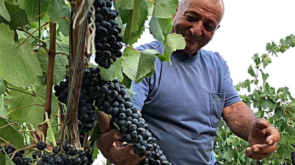 «Տրինիտի»-ն առաջարկում է Հայաստանում առաջին օրգանական գինիները