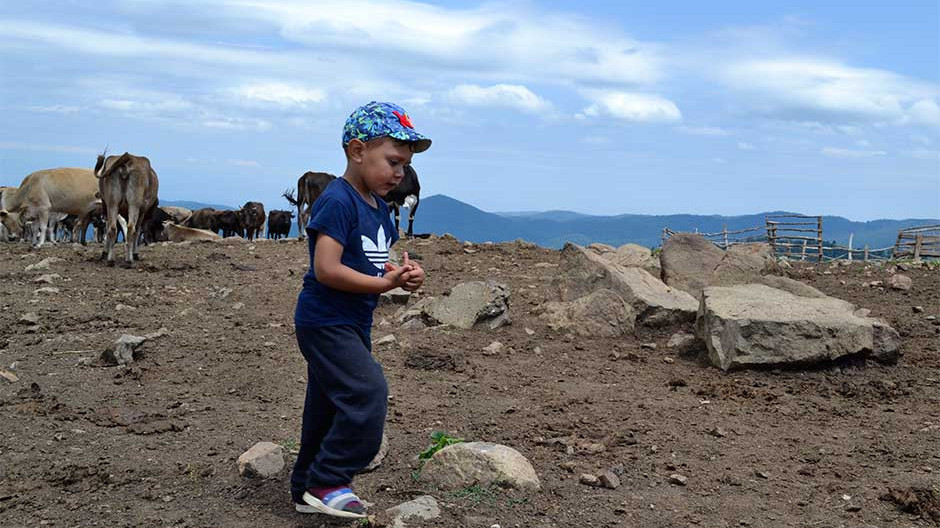  Լուսանկարը՝ Մեդիամաքս