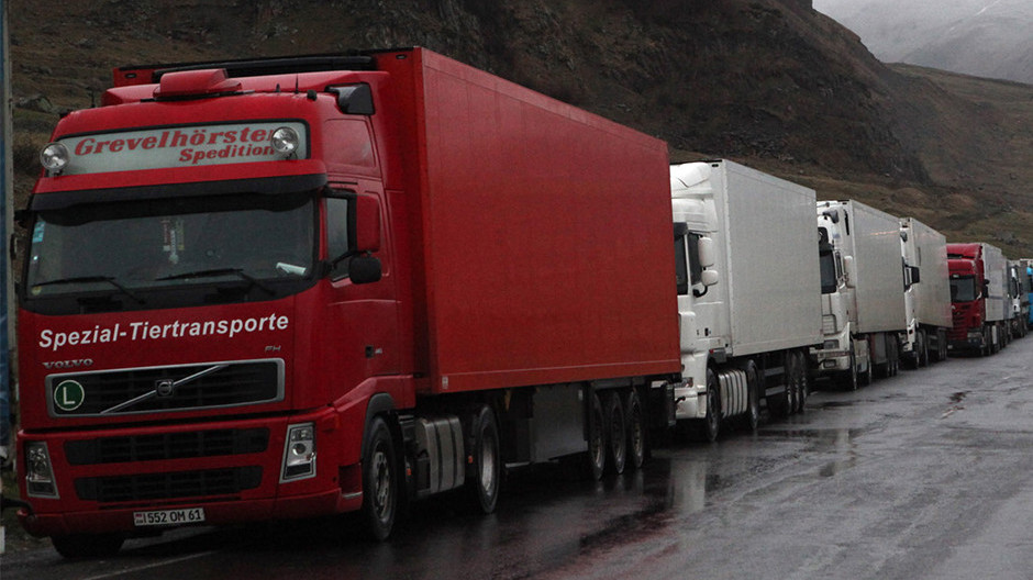  Լուսանկարը՝ Photolure