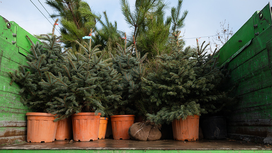  Լուսանկարը՝ Մեդիամաքս