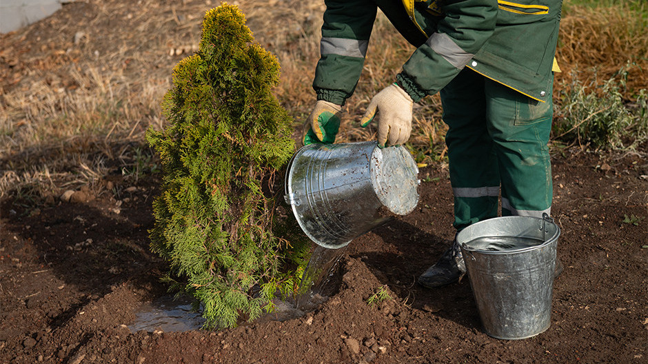  Լուսանկարը՝ Մեդիամաքս
