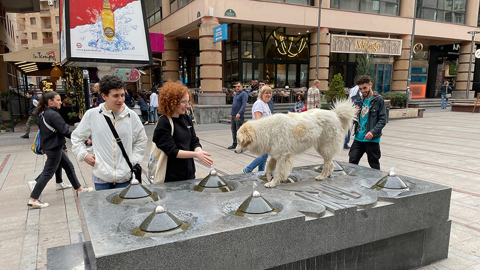  Фото: Daniel Brennwald