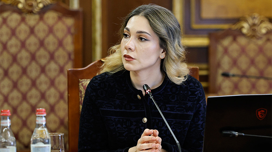  Լուսանկարը՝ ՀՀ կառավարության մամուլի ծառայություն