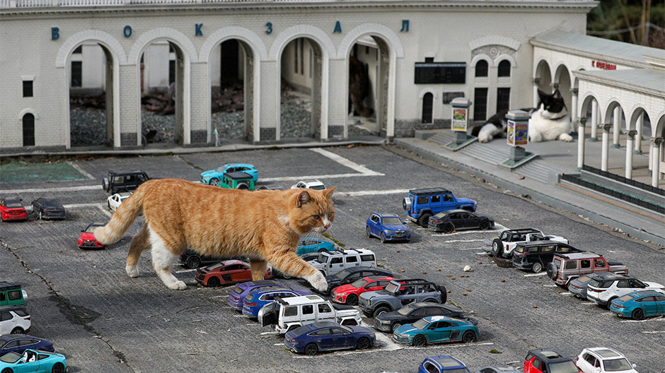  Image by: REUTERS